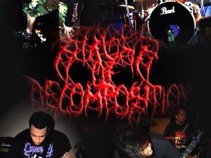 Stages of Decomposition