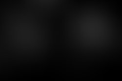 Set sail 7 1300830543