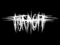 Image for TORN OFF
