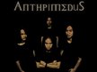 ANTHPIMEDUS