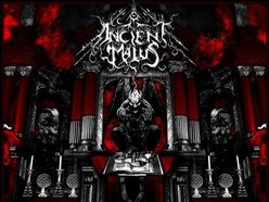 Image for Ancient Malus