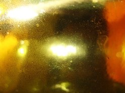 Image for Hooper