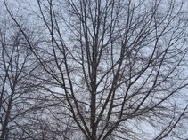 BRIAN McCADDEN ACOUSTIC NIGHTMARE