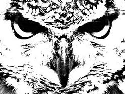 The Infamous Whyte Owl