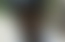 1369196812 2065410650743 1863282049 n