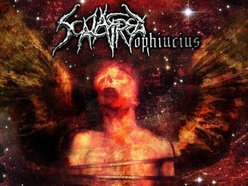 Image for Scalafrea