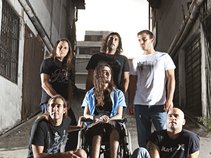 Blue Pill - הפיל הכחול