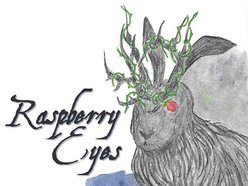 Image for Raspberry Eyes