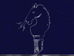 The Small Horse