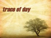 Image for Trace of Day