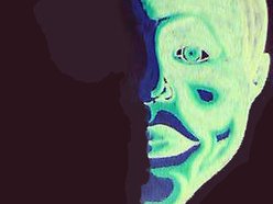 Image for Bushman