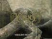 Virulency (looking for a guitar player)