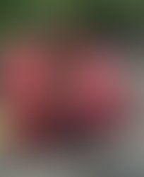 148715b9 a03f 4e25 9ccb 3ff5379714c3