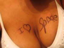 Midwest King Spade