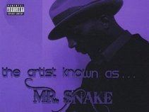 The ARTIST Known As . . . MR. SNAKE