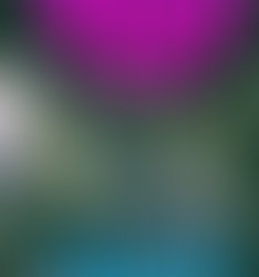 This collab is wild3