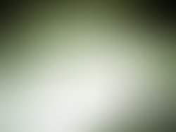 1363665254 surprise attack