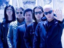 Infected Mushroom