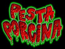 Pesta Porcina