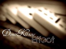 DomiKnow Effect