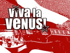 Image for Viva la Venus