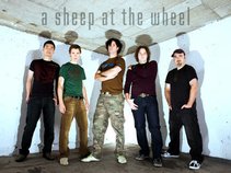 A Sheep at the Wheel