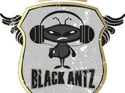 Black  Antz  Rock