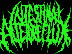 【ボクくん様用】INTESTINAL ALIEN REFLUX /Illegal Intestinal Alien Reflux | ReverbNation