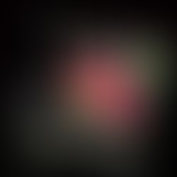 Inbound718409455462287211