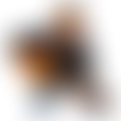 1379685135 darcy8 1235322252