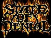 STATE OF DENIAL
