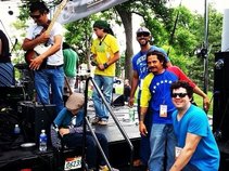 mono verde collective