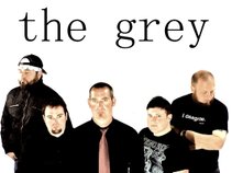 The Grey