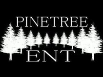 PineTree Ent