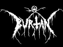 BVRTAN