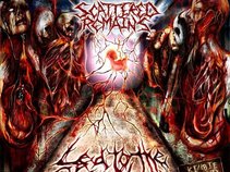 SCATTERED REMAINS