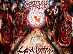 Image for SCATTERED REMAINS