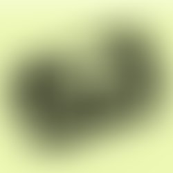 1337526599 green logo