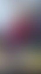 1401784052 ron8 2 13