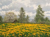 Dandelions