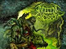 Indecent Excision