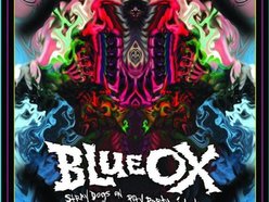 Image for blue ox
