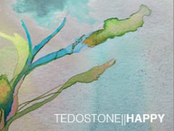 Image for Tedo Stone