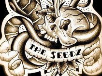 The SeeDz