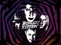 Image for BONSAI KITTEN