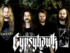 Image for Gypsyhawk