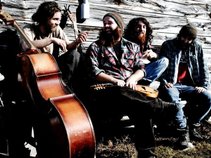 The Blind Owl Band