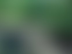 Tiersen poulain small