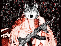 Image for From Dogs to Wolves