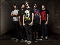 Image for Coralise